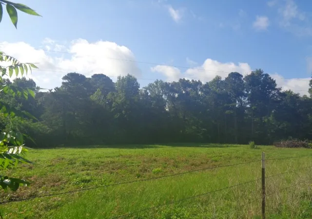Homes for sale in Quitman, TX | Tbd County Road, Quitman, TX 75494 | MLS# 21301246