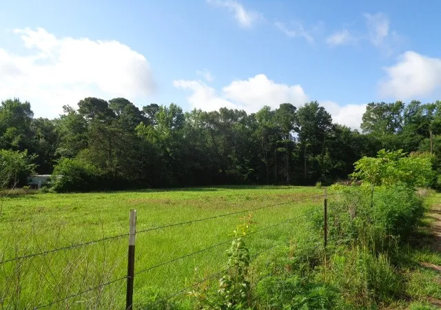 Homes for sale in Quitman, TX | Tbd County Road, Quitman, TX 75494 | MLS# 21301246