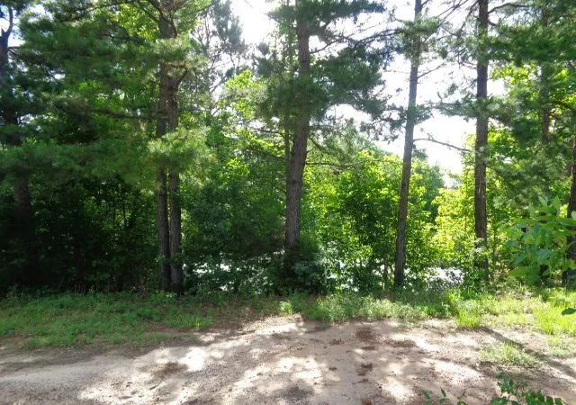 Homes for sale in Quitman, TX | Tbd County Road, Quitman, TX 75494 | MLS# 21301246
