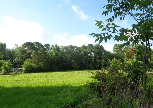 Homes for sale in Quitman, TX | Tbd County Road, Quitman, TX 75494 | MLS# 21301246