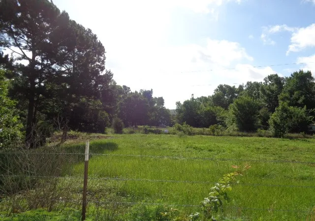 Homes for sale in Quitman, TX | Tbd County Road, Quitman, TX 75494 | MLS# 21301246