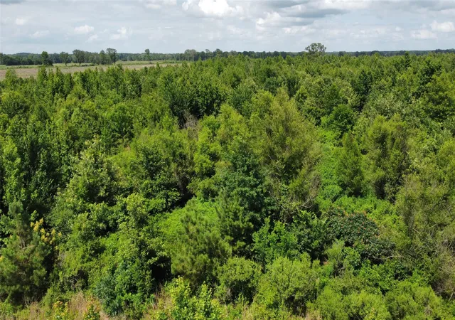 4th image of Lot 1 County Road 4507, De Kalb, TX 75559 | MLS# 21301416