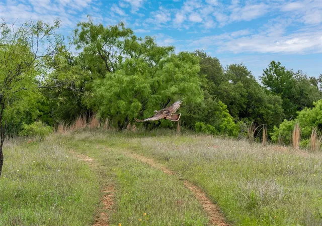 Homes for sale in Early, TX | 000 County Road 267, Early, TX 76802 | MLS# 21301218