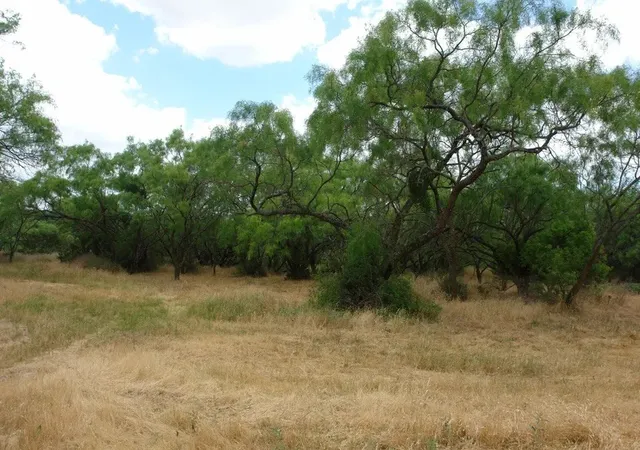 Photo 3 of Land for sale at 1688 Hwy 573, Comanche, TX 76442 | MLS# 21302174 | Listing updated on 2026-09-18