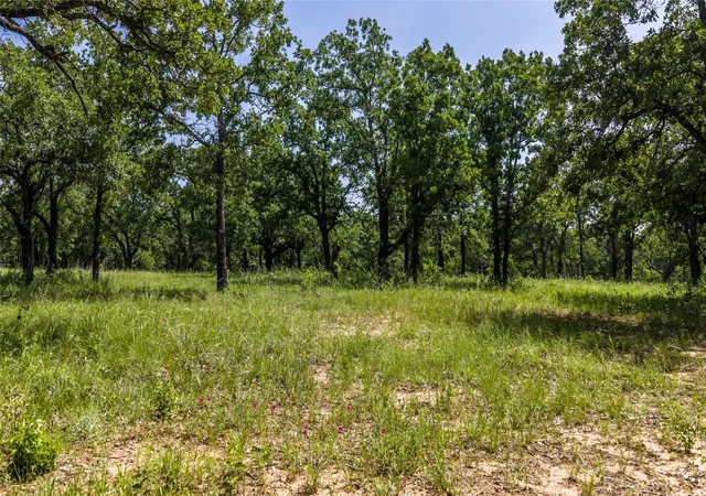 Homes for sale in Gordon, TX | Tbd County Road 126, Gordon, TX 76453 | MLS# 21302355