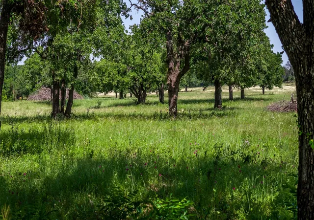 Photo 4 of Land for sale at Tbd County Road 126, Gordon, TX 76453 | MLS# 21302355 | Listing updated on 2026-08-25