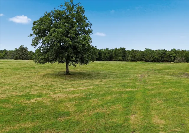 Photo 3 of Land for sale at Tbd County Road 3090, Ben Franklin, TX 75415 | MLS# 21301968 | Listing updated on 2026-08-22