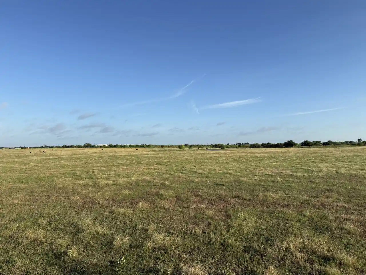 Photo 1 of Land for sale at 2325 County Road 1104, Cleburne, TX 76031 | MLS# 21302977 | Listing updated on 2026-06-16