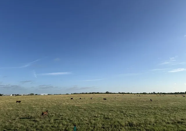 5th image of 2175 County Road 1104, Cleburne, TX 76031 | MLS# 21302984