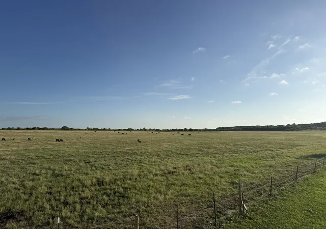 6th image of 2175 County Road 1104, Cleburne, TX 76031 | MLS# 21302984