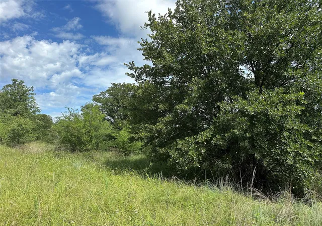 Homes for sale in Springtown, TX | 570 Big Salty Ln, Springtown, TX 76082 | MLS# 21303101