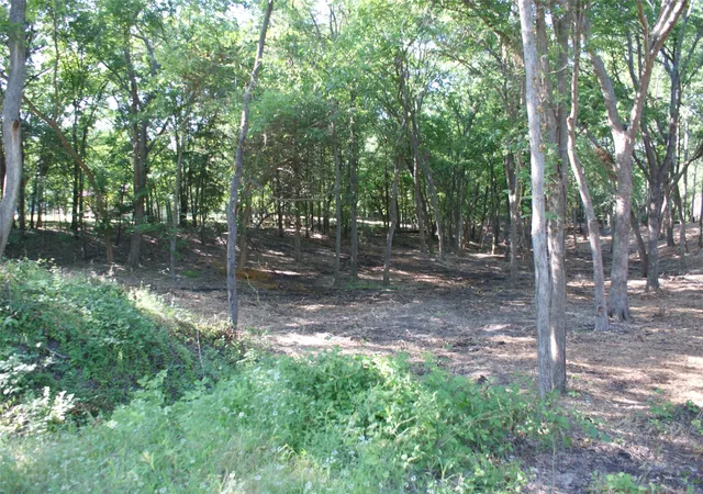 Photo 1 of Land for sale at Cr 3713 County Road 3713, Quinlan, TX 75474 | MLS# 21303062 | Listing updated on 2026-08-22