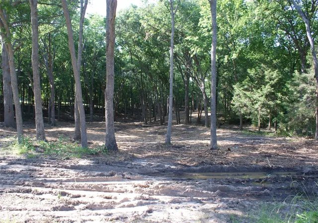 Photo 3 of Land for sale at Cr 3713 County Road 3713, Quinlan, TX 75474 | MLS# 21303062 | Listing updated on 2026-08-22