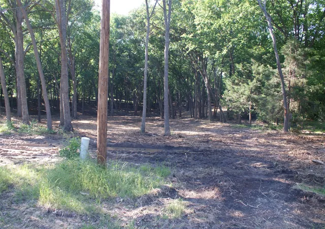 Photo 4 of Land for sale at Cr 3713 County Road 3713, Quinlan, TX 75474 | MLS# 21303062 | Listing updated on 2026-08-22