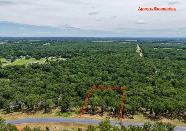 Homes for sale in Malakoff, TX | 7002 Lakeshore Wy, Malakoff, TX 75148 | MLS# 21303009