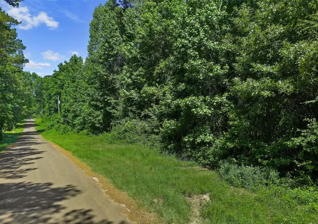 12th image of Tbd County Rd 3363 #Tract B, De Berry, TX 75639 | MLS# 21303737
