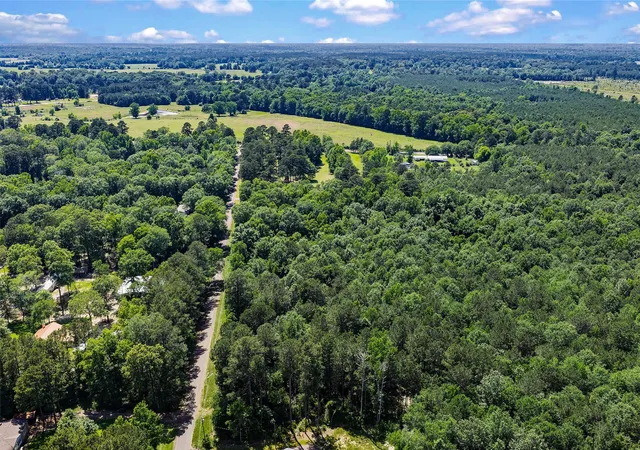 1st image of Tbd County Rd 3363 #Tract B, De Berry, TX 75639 | MLS# 21303737