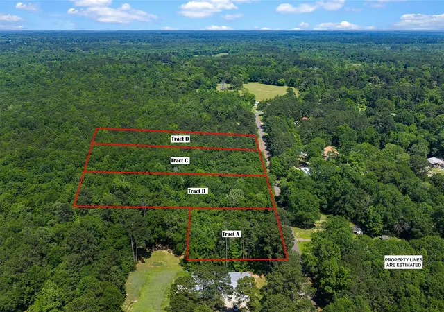 5th image of Tbd County Rd 3363 #Tract B, De Berry, TX 75639 | MLS# 21303737