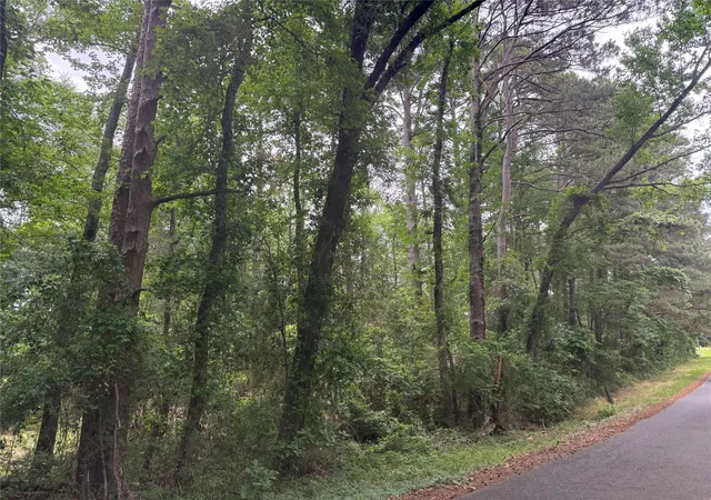 2nd image of 0 Diamond T Rd, Heflin, LA 71039 | MLS# 21302006