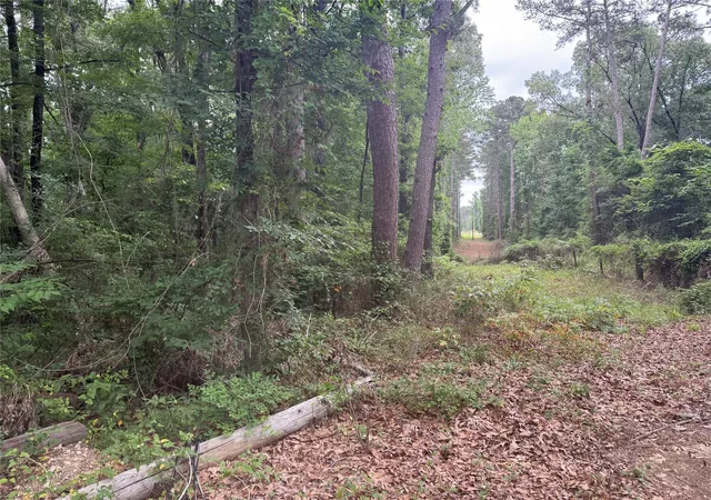 3rd image of 0 Diamond T Rd, Heflin, LA 71039 | MLS# 21302006