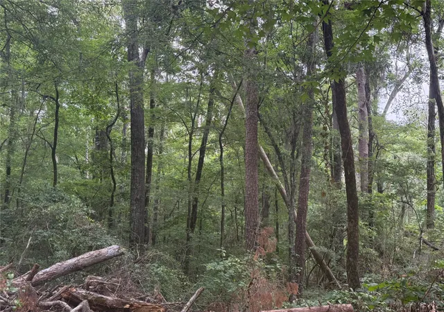 5th image of 0 Diamond T Rd, Heflin, LA 71039 | MLS# 21302006