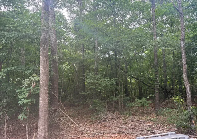 7th image of 0 Diamond T Rd, Heflin, LA 71039 | MLS# 21302006
