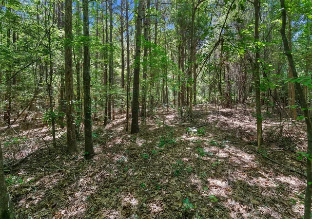Homes for sale in De Berry, TX | Tbd County Rd 3363 #Tract C, De Berry, TX 75639 | MLS# 21303771