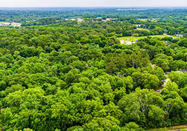 Photo 17 of Land for sale at 0 Calhoun St, Palestine, TX 75801 | MLS# 21303906 | Listing updated on 2026-08-17