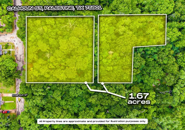 Photo 2 of Land for sale at 0 Calhoun St, Palestine, TX 75801 | MLS# 21303906 | Listing updated on 2026-08-17