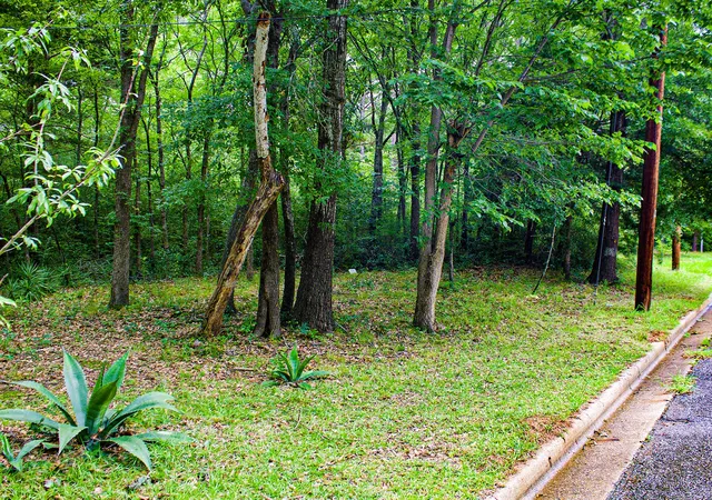 Photo 3 of Land for sale at 0 Calhoun St, Palestine, TX 75801 | MLS# 21303906 | Listing updated on 2026-08-17