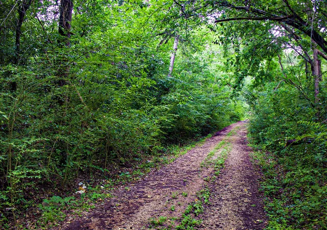 Photo 4 of Land for sale at 0 Calhoun St, Palestine, TX 75801 | MLS# 21303906 | Listing updated on 2026-08-17