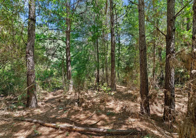 Homes for sale in De Berry, TX | Tbd County Rd 3363 #Tract D, De Berry, TX 75639 | MLS# 21303914