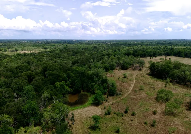 Homes for sale in Wortham, TX | 168+/- Acres Sh-14, Wortham, TX 76681 | MLS# 21289249