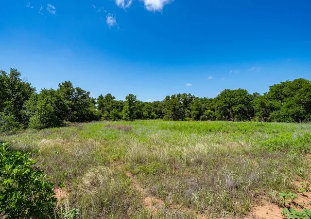 Homes for sale in Anson, TX | Tbd Lot#3 County Road 335, Anson, TX 79501 | MLS# 21304582