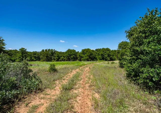 Homes for sale in Anson, TX | Tbd Lot#3 County Road 335, Anson, TX 79501 | MLS# 21304582