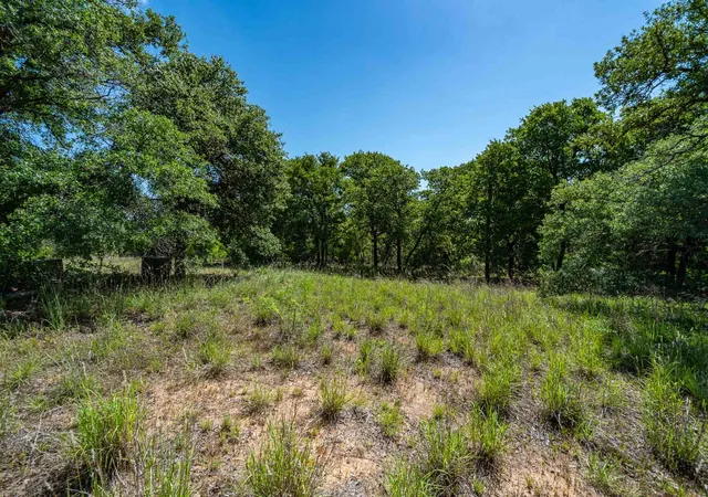 Homes for sale in Anson, TX | Tbd Lot#3 County Road 335, Anson, TX 79501 | MLS# 21304582