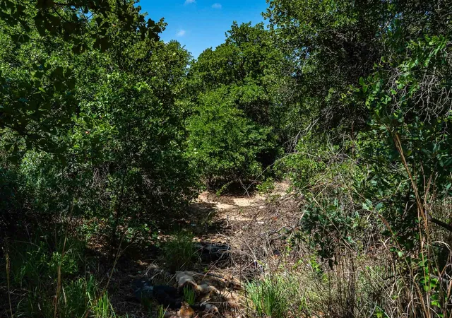 Homes for sale in Anson, TX | Tbd Lot#2 County Road 335, Anson, TX 79501 | MLS# 21304615
