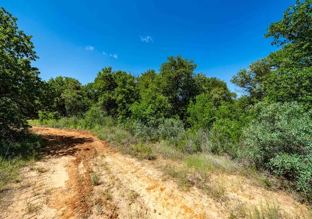 Homes for sale in Anson, TX | Tbd Lot#2 County Road 335, Anson, TX 79501 | MLS# 21304615
