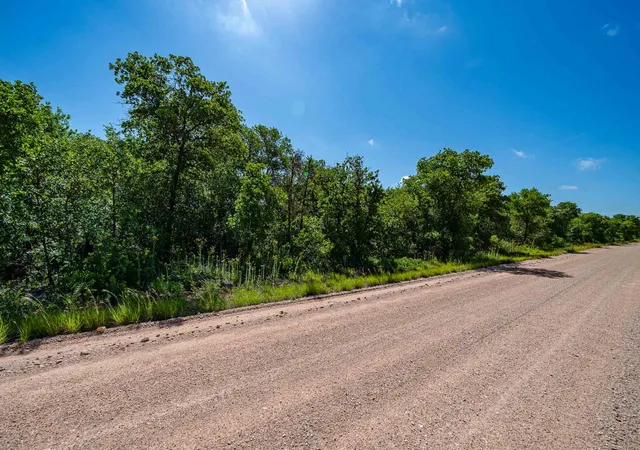 Homes for sale in Anson, TX | Tbd Lot#1 County Road 335, Anson, TX 79501 | MLS# 21304618