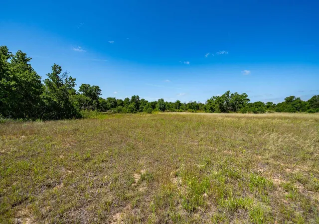 Homes for sale in Anson, TX | Tbd Lot#1 County Road 335, Anson, TX 79501 | MLS# 21304618