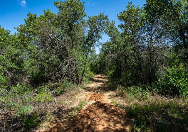 Homes for sale in Anson, TX | Tbd Lot#1 County Road 335, Anson, TX 79501 | MLS# 21304618