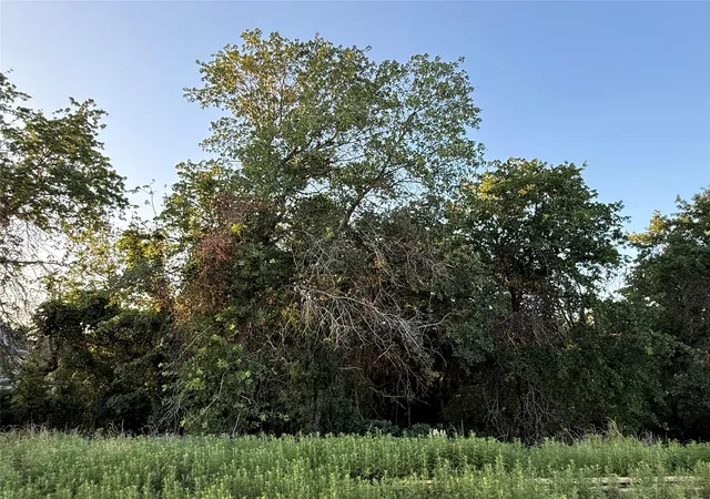 Homes for sale in Poolville, TX | 277 Zebrastone Wy, Poolville, TX 76487 | MLS# 21297241