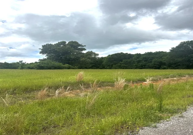 Homes for sale in Brownsboro, TX | Tbd Belles Lane, Brownsboro, TX 75756 | MLS# 21304085