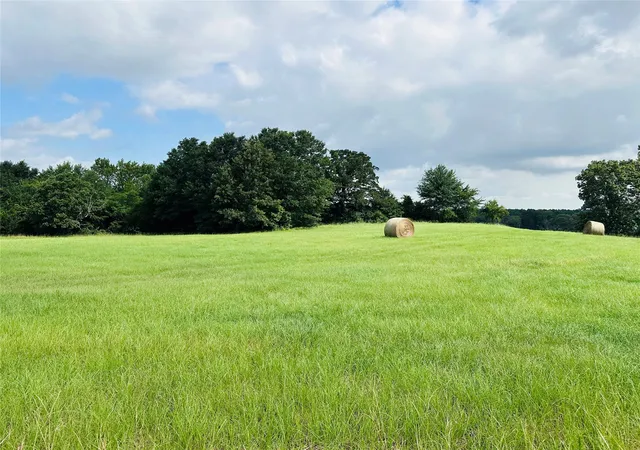 Photo 1 of Land for sale at Tbd Belles Lane, Brownsboro, TX 75756 | MLS# 21304085 | Listing updated on 2026-07-24