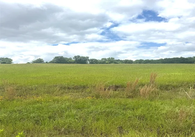 Homes for sale in Brownsboro, TX | Tbd Belles Lane, Brownsboro, TX 75756 | MLS# 21304085