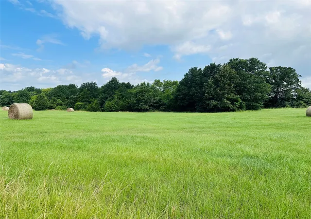 Photo 2 of Land for sale at Tbd Belles Lane, Brownsboro, TX 75756 | MLS# 21304085 | Listing updated on 2026-07-24
