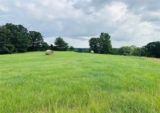 Photo 3 of Land for sale at Tbd Belles Lane, Brownsboro, TX 75756 | MLS# 21304085 | Listing updated on 2026-07-24