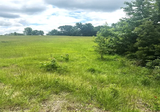Homes for sale in Brownsboro, TX | Tbd Belles Lane, Brownsboro, TX 75756 | MLS# 21304085