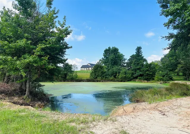 Photo 4 of Land for sale at Tbd Belles Lane, Brownsboro, TX 75756 | MLS# 21304085 | Listing updated on 2026-07-24