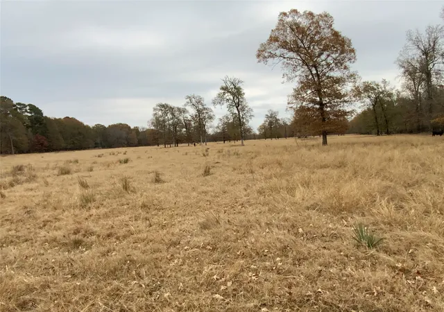 Homes for sale in Longview, TX | 1 W Harrison Rd, Longview, TX 75604 | MLS# 21273746